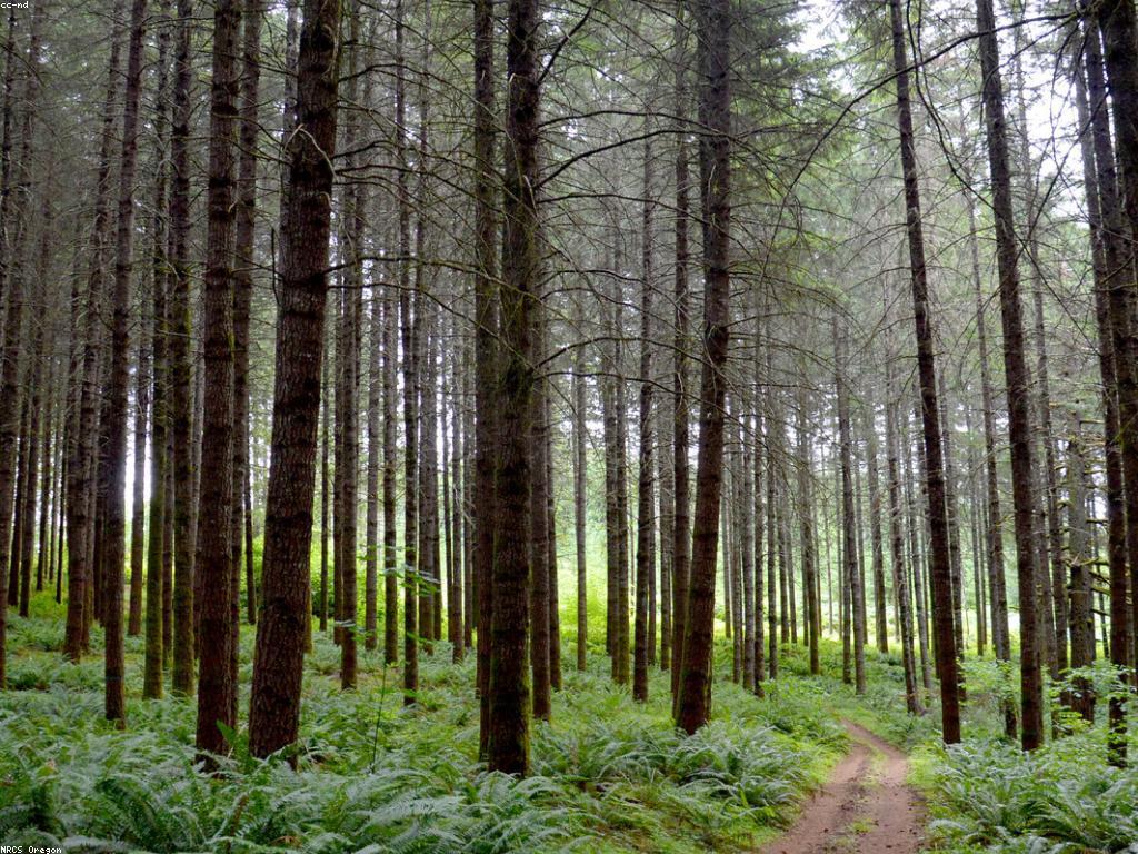 ធ្វើឲ្យល្បឿនក្នុងការបញ្ជាក់ទំនិញ