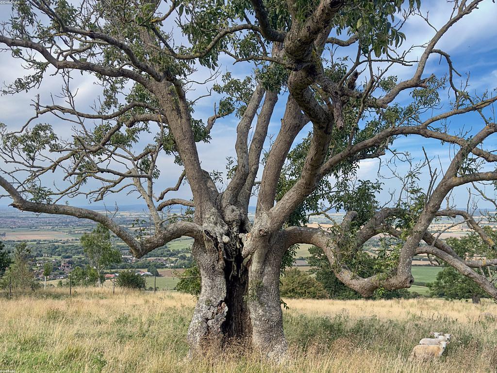 ការធ្វើគម្រោងព្រឹត្តិការណ៍ពិសេស