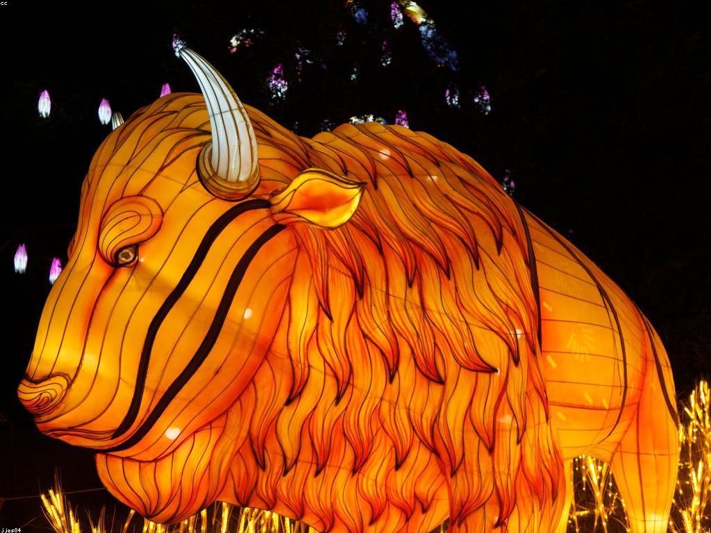 ព្រឹត្តិការណ៍ពិសេសនៃឆ្នាំ