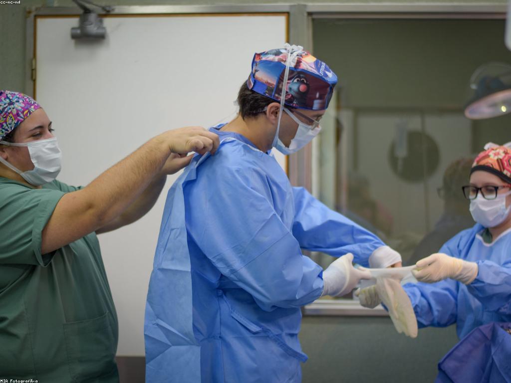 ការប្រើប្រាស់ព្រឹត្តិការណ៍ពិសេសក្នុងការផ្សាយពាណិជ្ជកម្ម