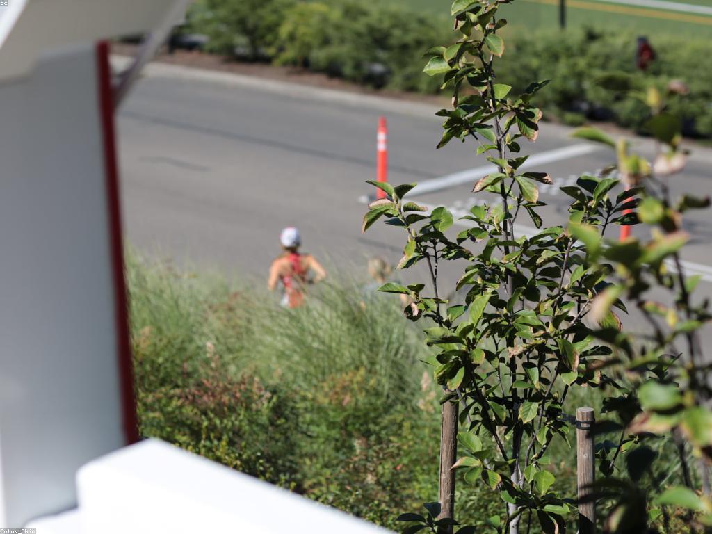 ការប្រើប្រាស់ព្រឹត្តិការណ៍ពិសេសក្នុងការផ្សាយពាណិជ្ជកម្ម